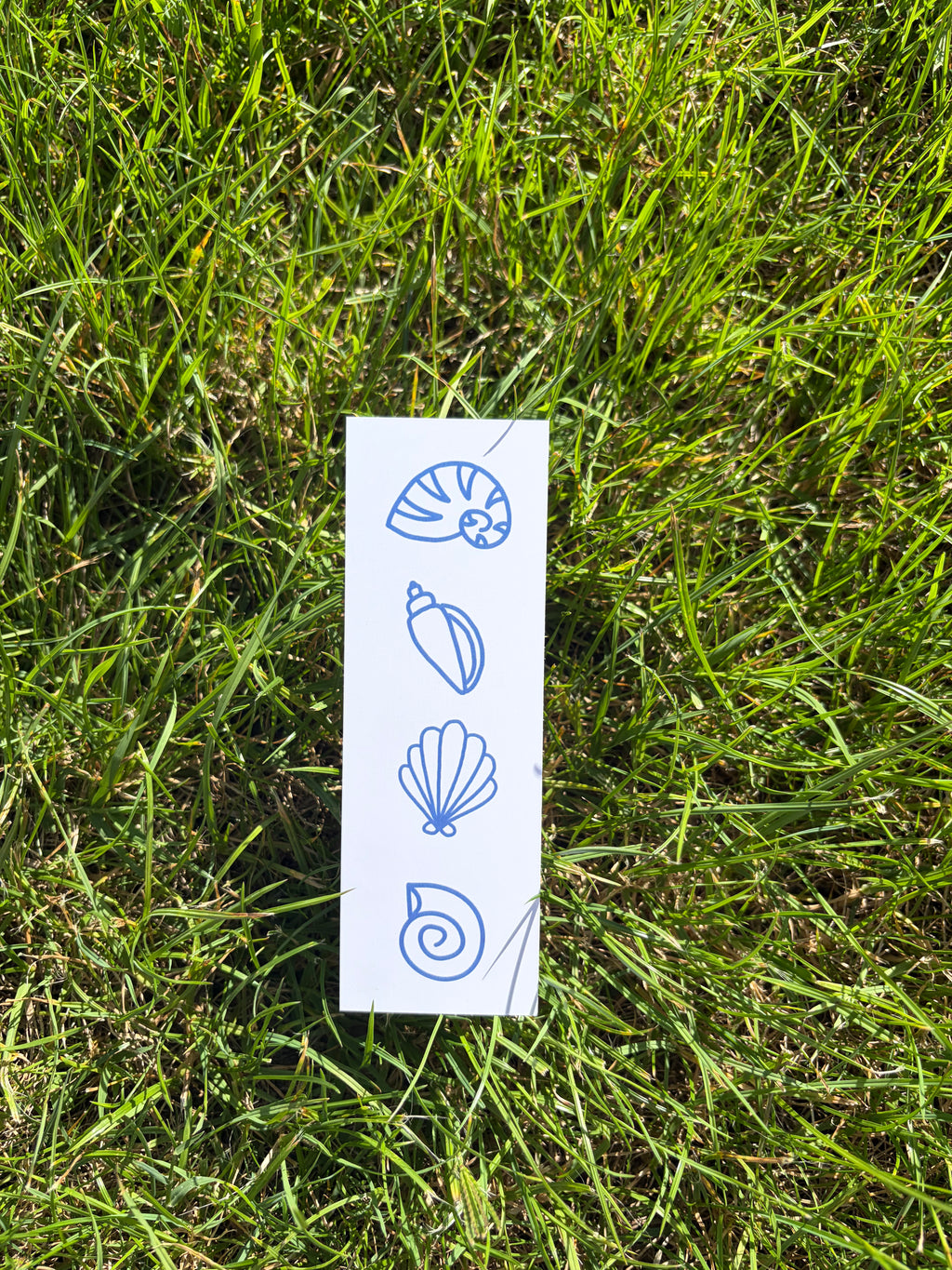 Sea shells Bookmark