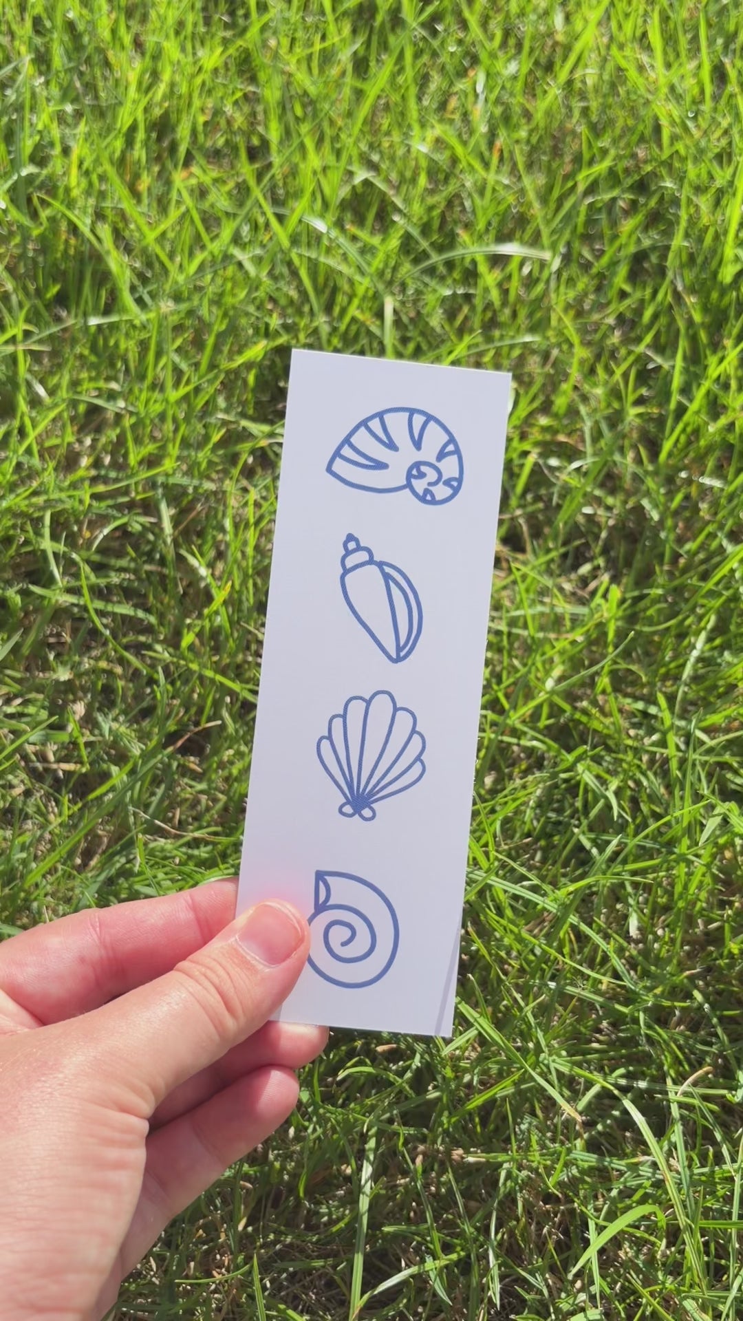 Sea shells Bookmark